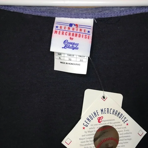 NWT Campus Lifestyle Detroit Tigers Tee - Picture 3 of 3